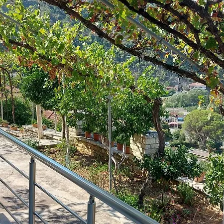 Affittacamere Forest