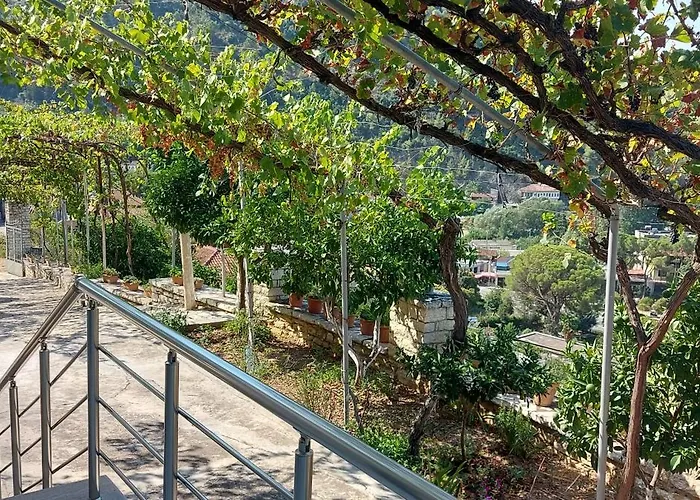 Affittacamere Forest